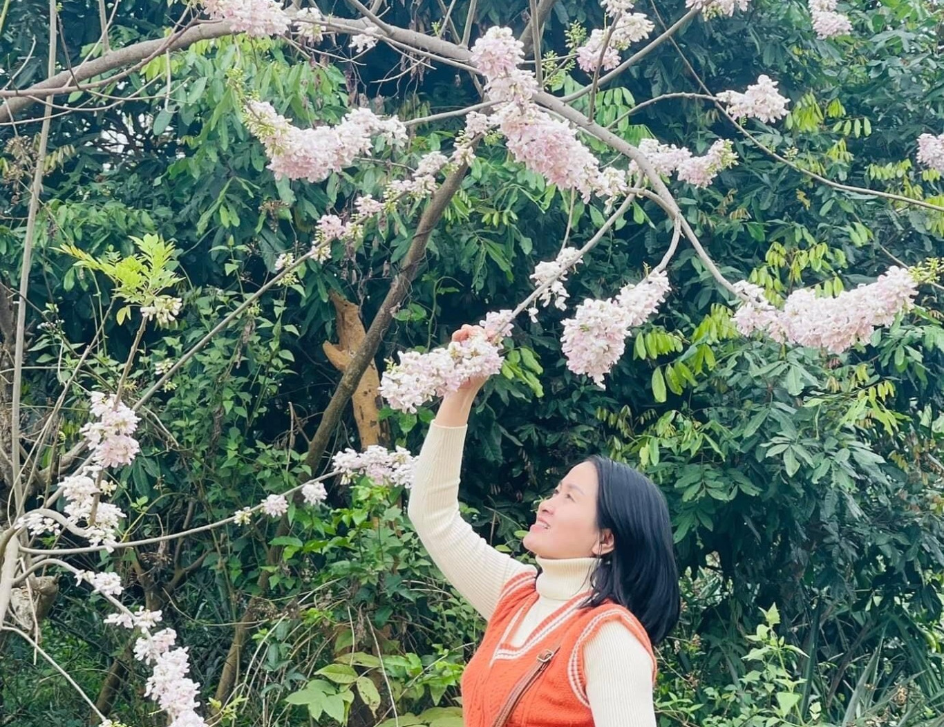C&ocirc; gi&aacute;o v&ugrave;ng L&igrave;a chụp ảnh dưới b&oacute;ng hoa điệp anh đ&agrave;o - Ảnh: Y.M.S